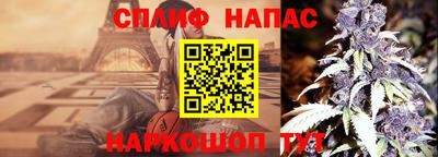 прущие грибы Можга
