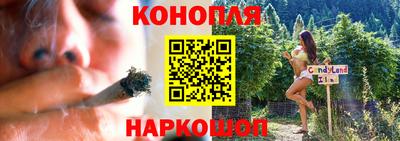 дмт Можайск