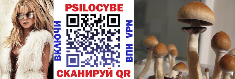 Псилоцибиновые грибы Magic Shrooms Славянск-на-Кубани