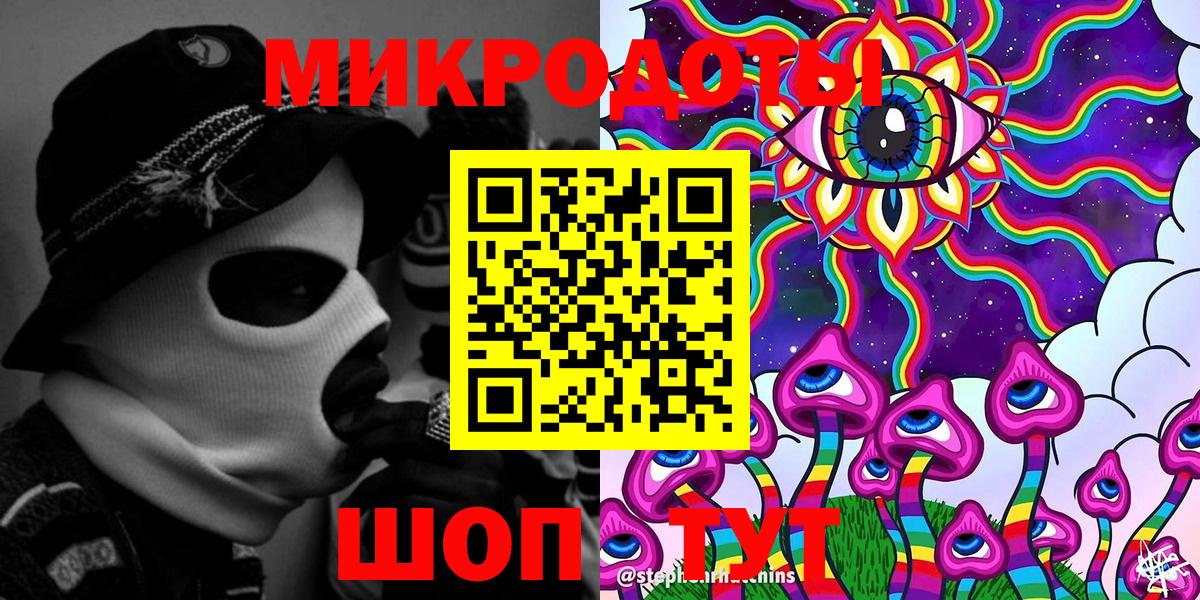 Псилоцибиновые грибы Psilocybe Славянск-на-Кубани