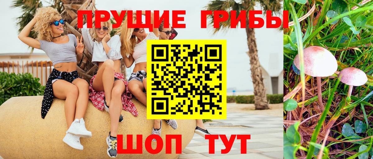 Славянск-на-Кубани  Галлюциногенные грибы GOLDEN TEACHER  Вход с VPN 